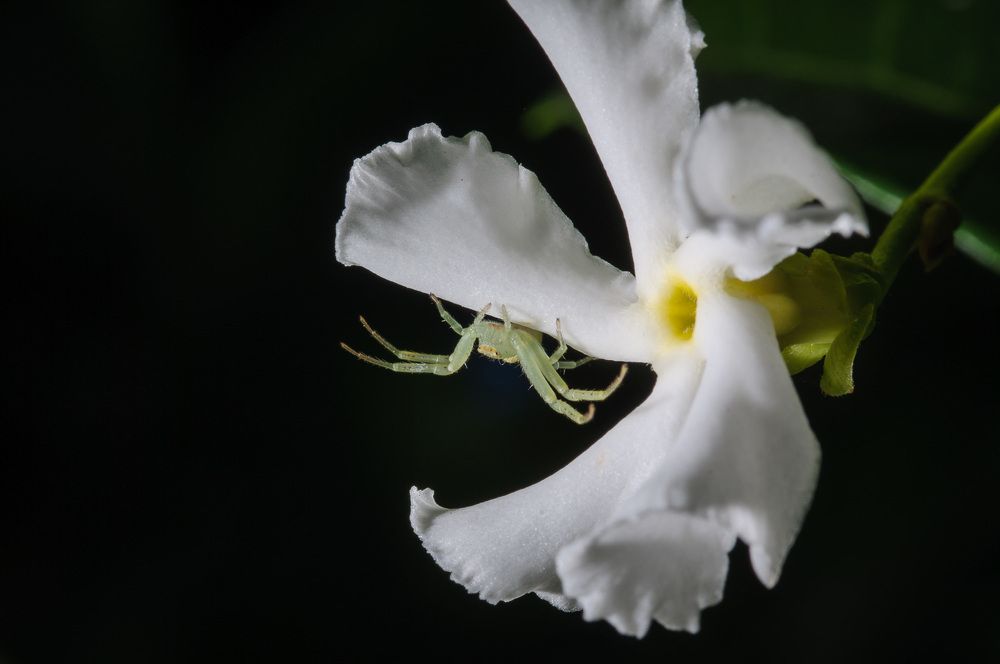 Photograph by Patricio Murphy