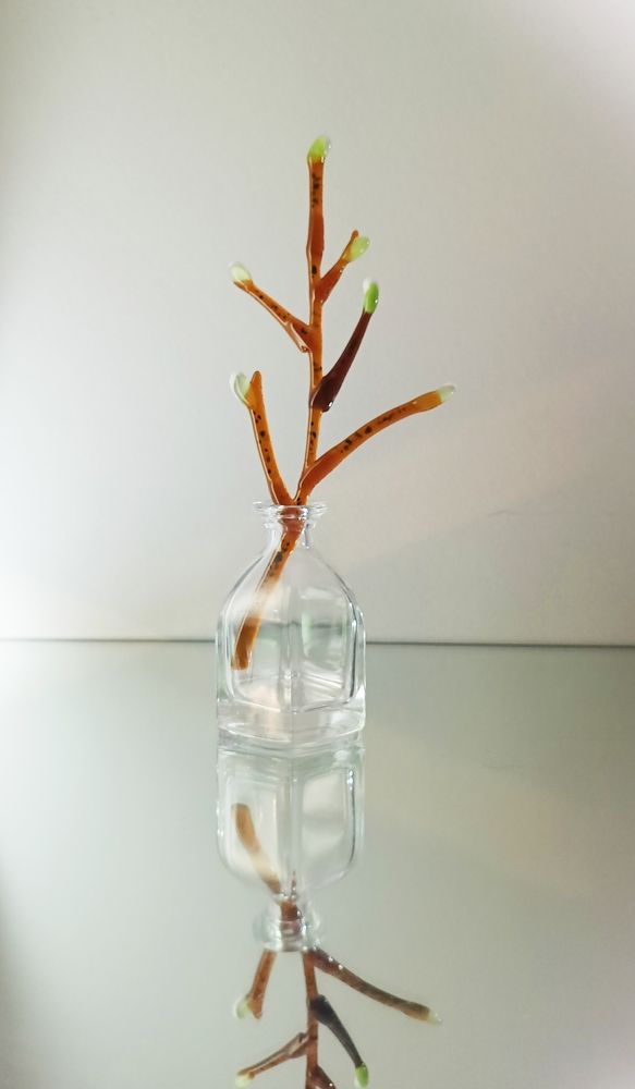 Photograph by Лариса Натальская