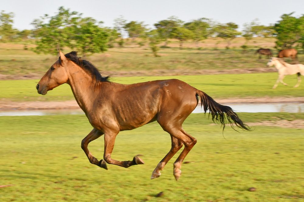 Photograph by Marzio Fattorini