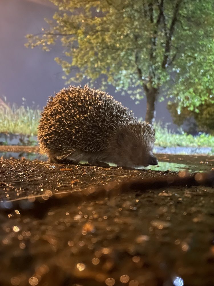 Photograph by Soslan Taraev