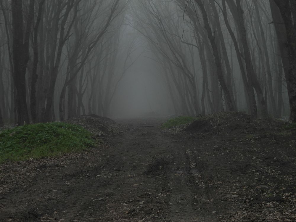 Photograph by Всеволод Маслов