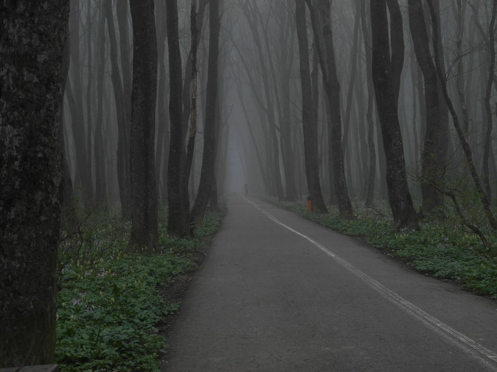 Photograph by Всеволод Маслов