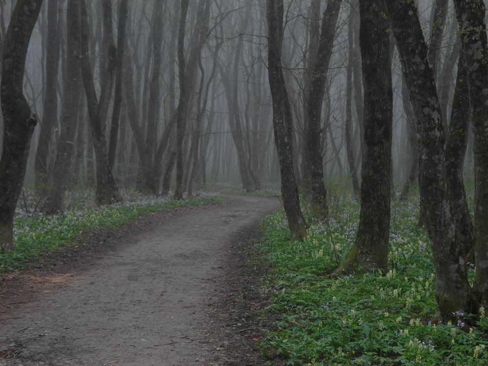 Photograph by Всеволод Маслов