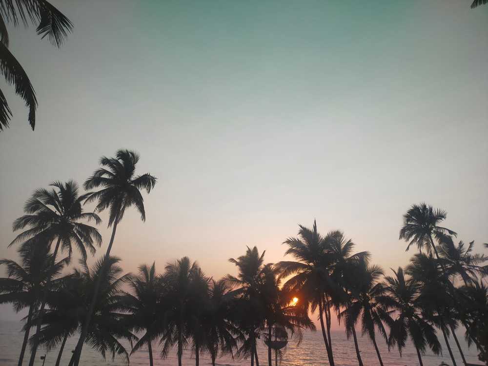Photograph by Radharani Jaiswal