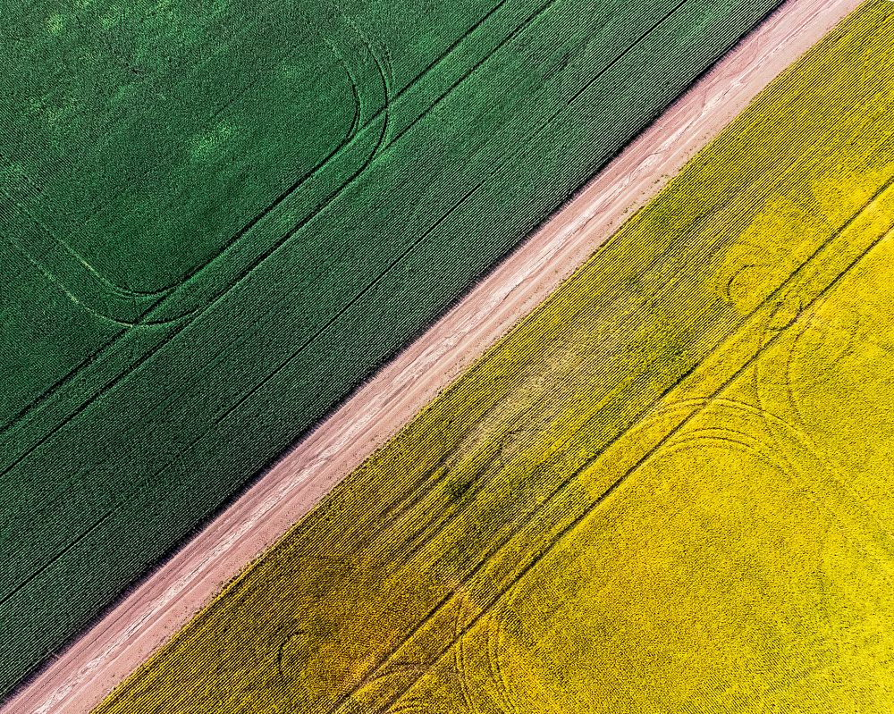 Фотография автора Мартыненко Дмитрий