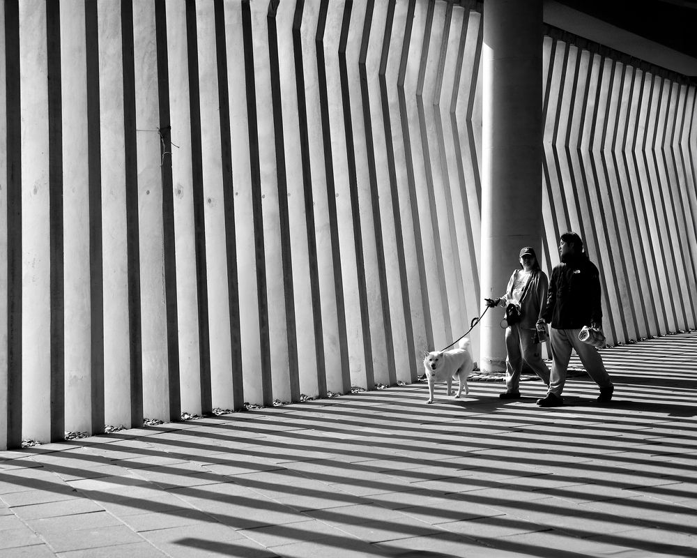 Photograph by 권순식