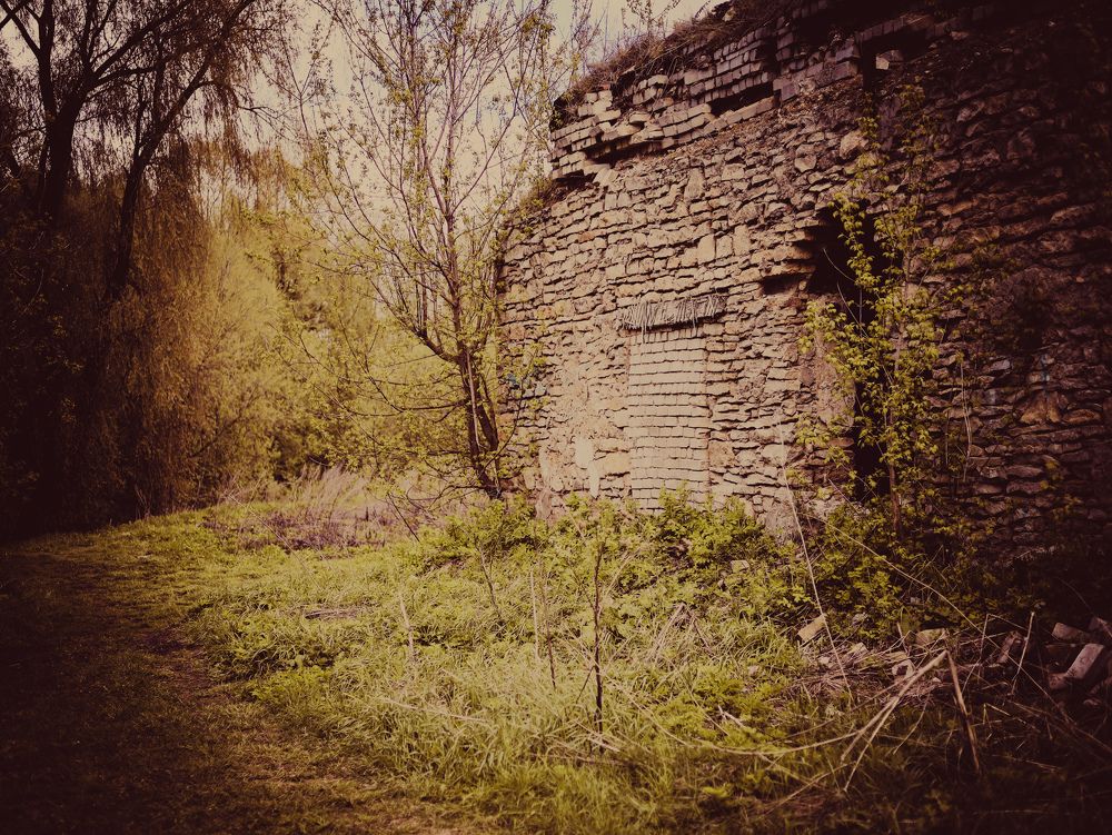 Photograph by Марина Григорьева