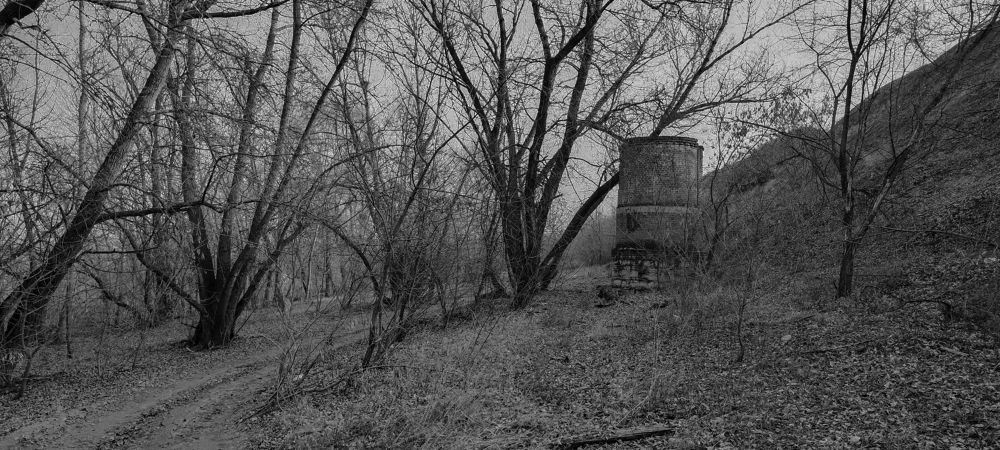 Photograph by Ирина Шибитова