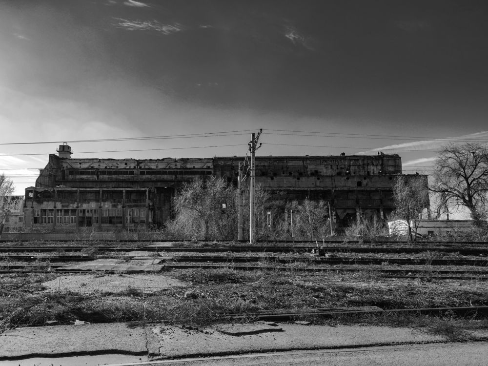 Photograph by Ирина Шибитова