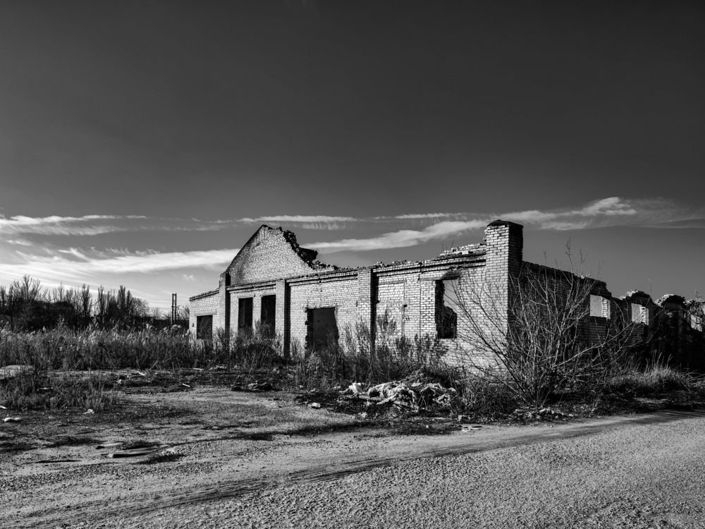 Photograph by Ирина Шибитова