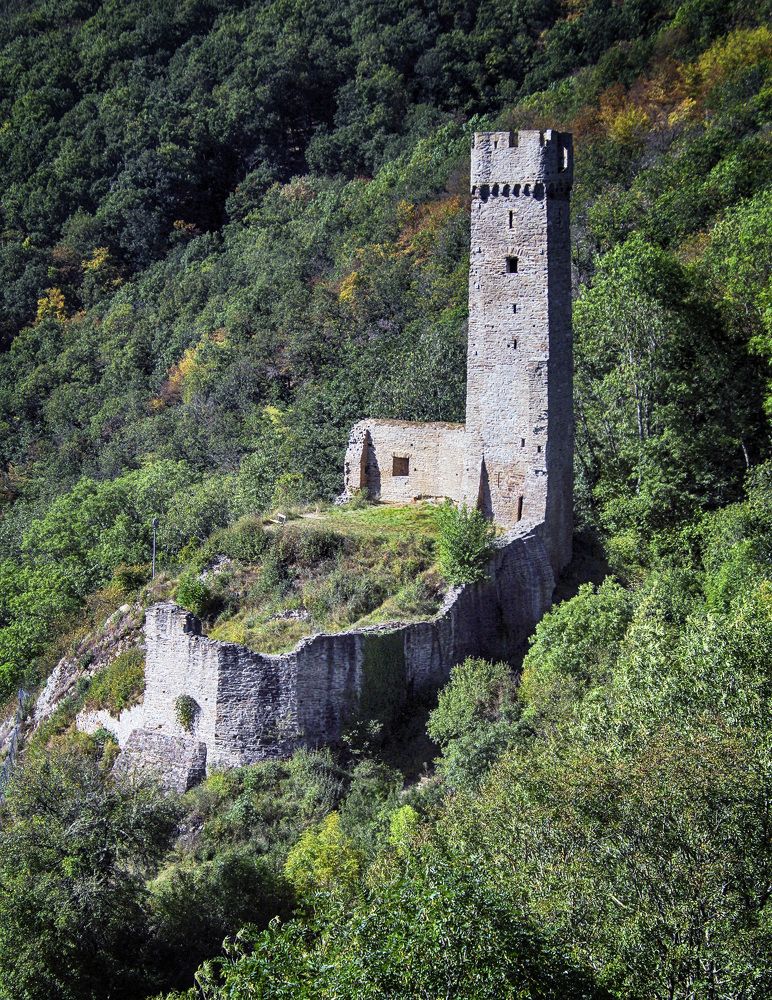 Фотография автора Александр