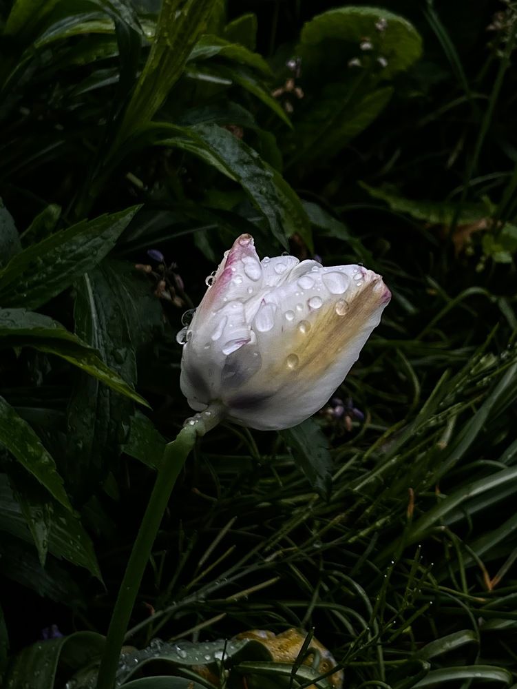 Фотография автора Barbariska