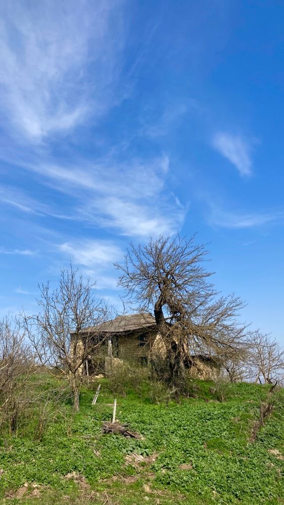 Photograph by Ксения Березкина