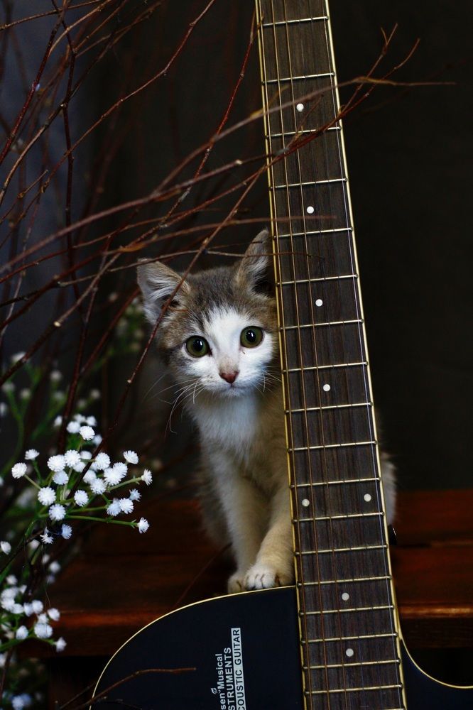 Photograph by Света Троянова