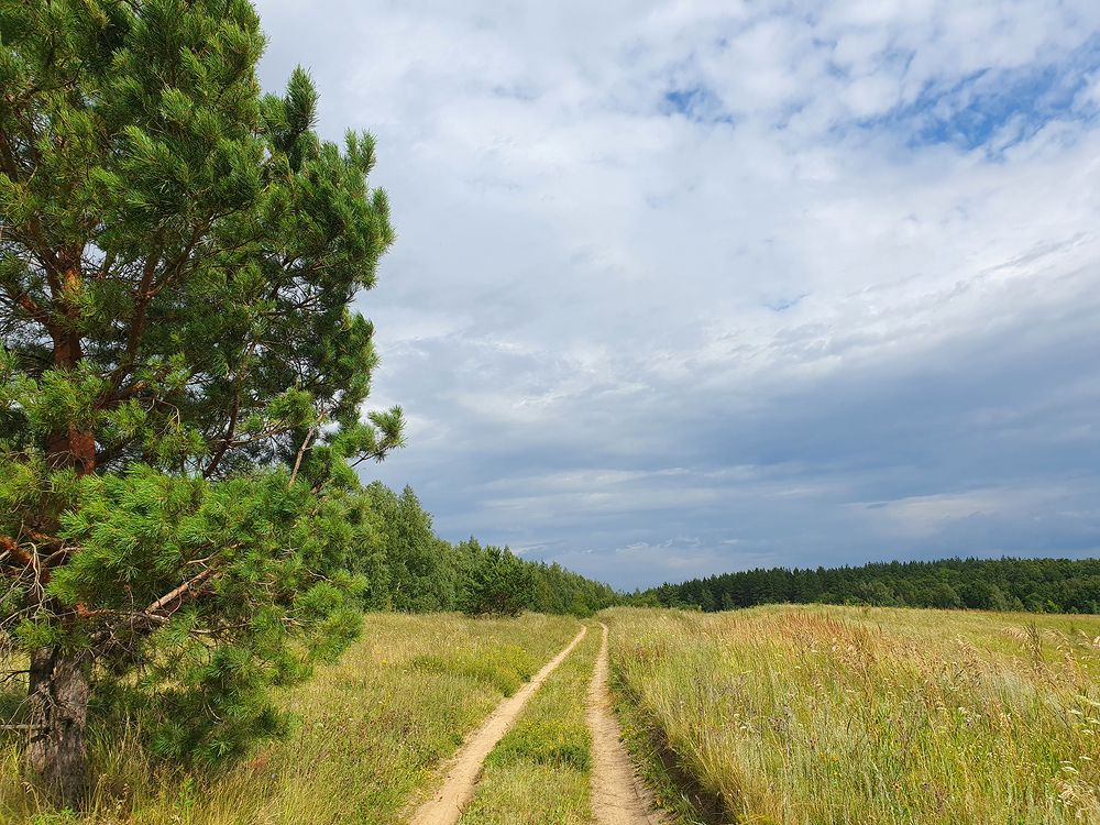 Фотография автора Надежда Лисицына