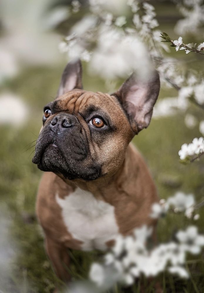 Photograph by Viktorija Gorovaja