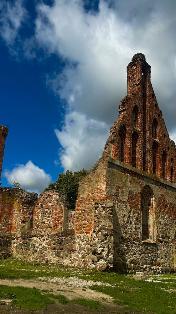 Фотография автора Елена Меньшикова