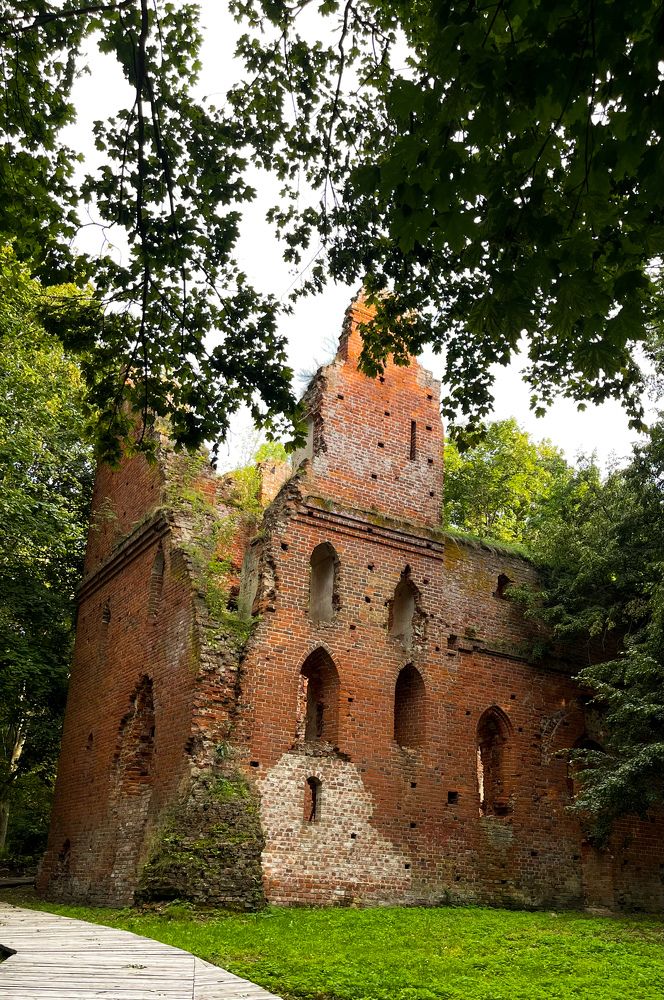 Фотография автора Елена Меньшикова