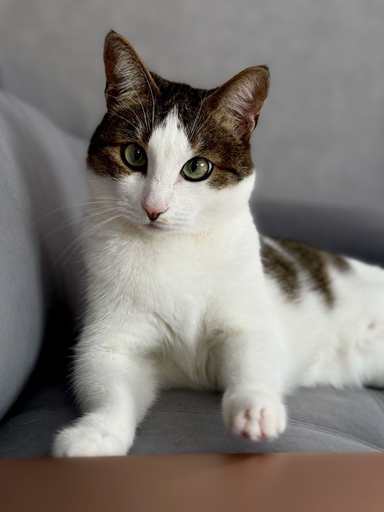 Photograph by Анастасия Конина