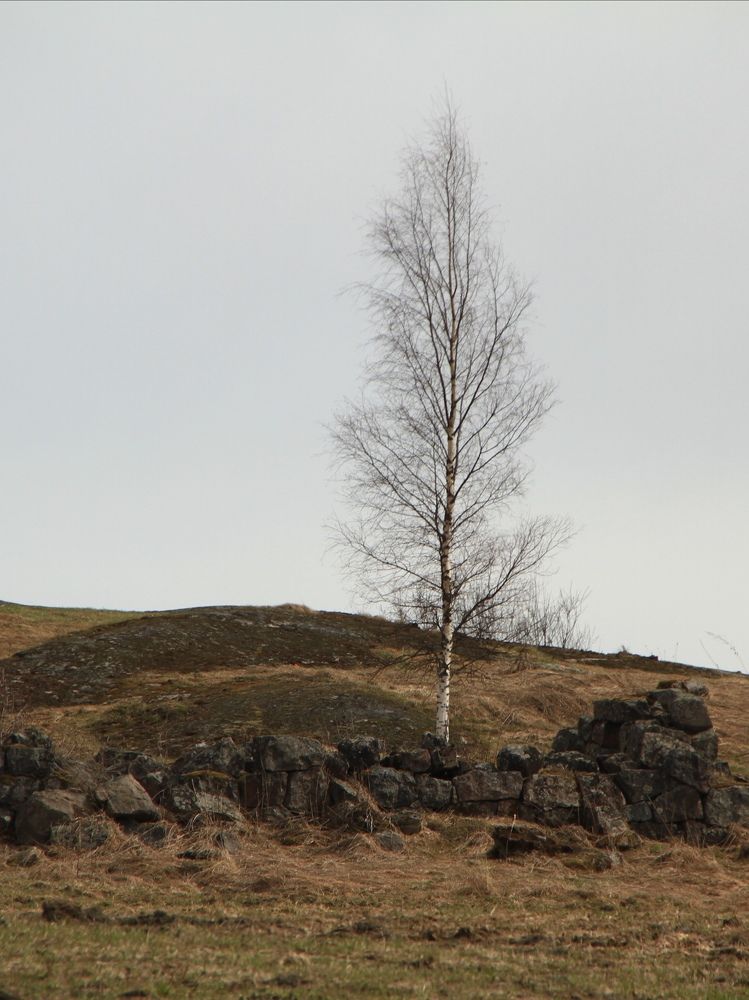 Фотография автора Анастасия Зверева