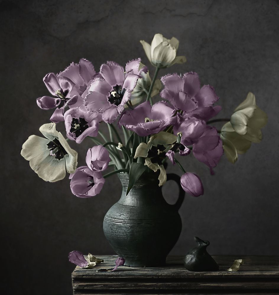 Фотография автора Светлана Дерябина