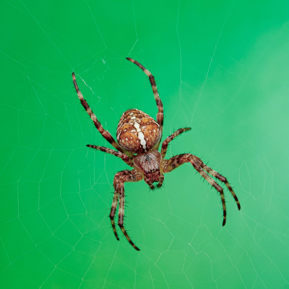 Photograph by Дмитрий Константинов