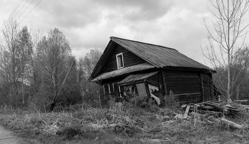 Фотография автора Виталий Дузь