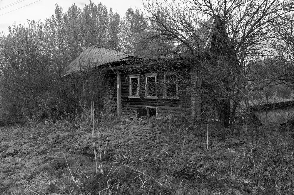 Фотография автора Виталий Дузь