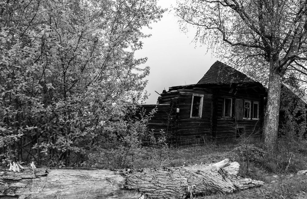 Фотография автора Виталий Дузь