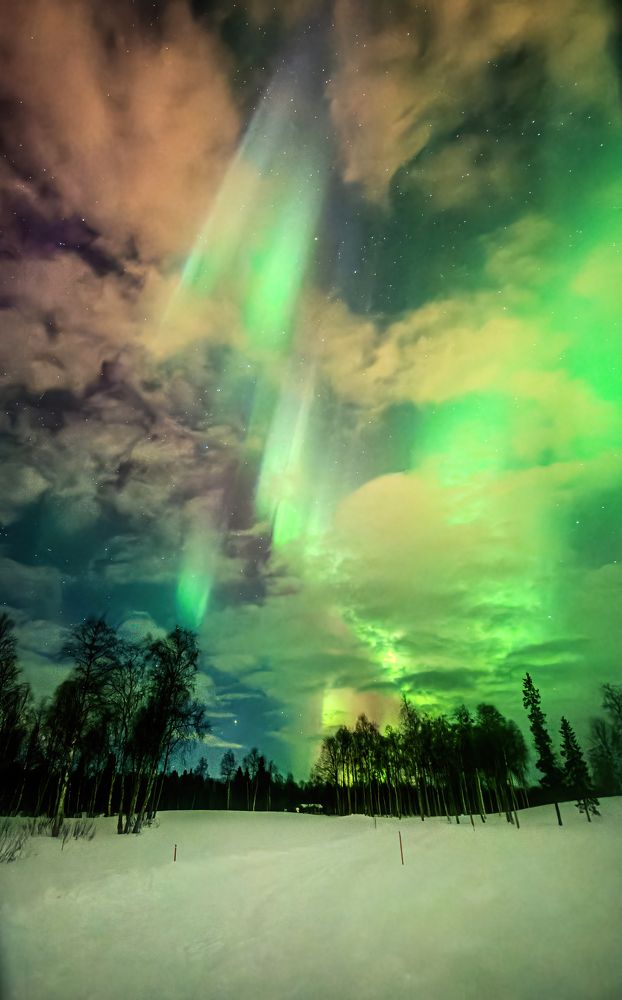 Photograph by Andrei Orlov