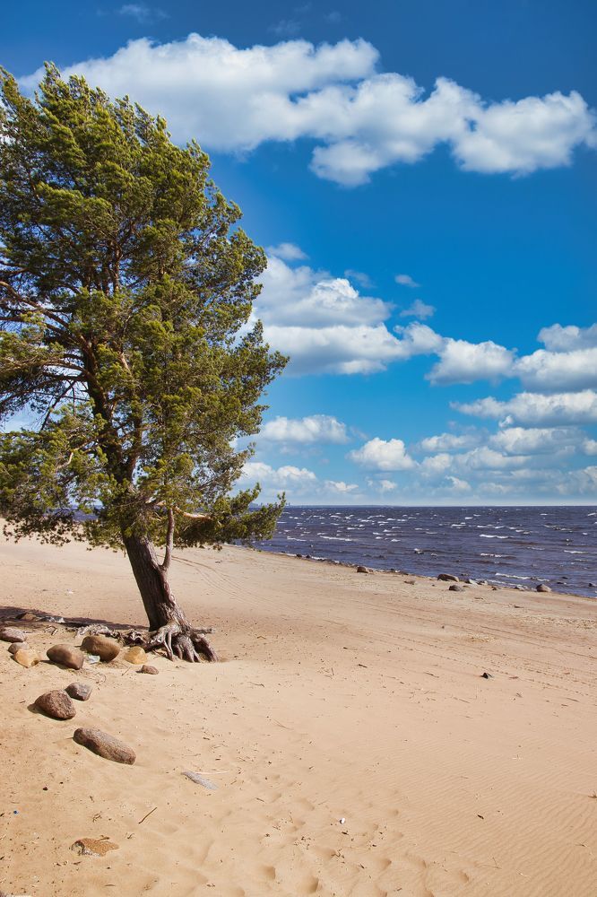 Фотография автора Georgii Eletskikh