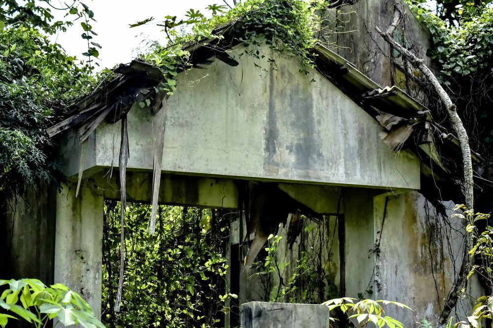 Photograph by Pujo Cahyono