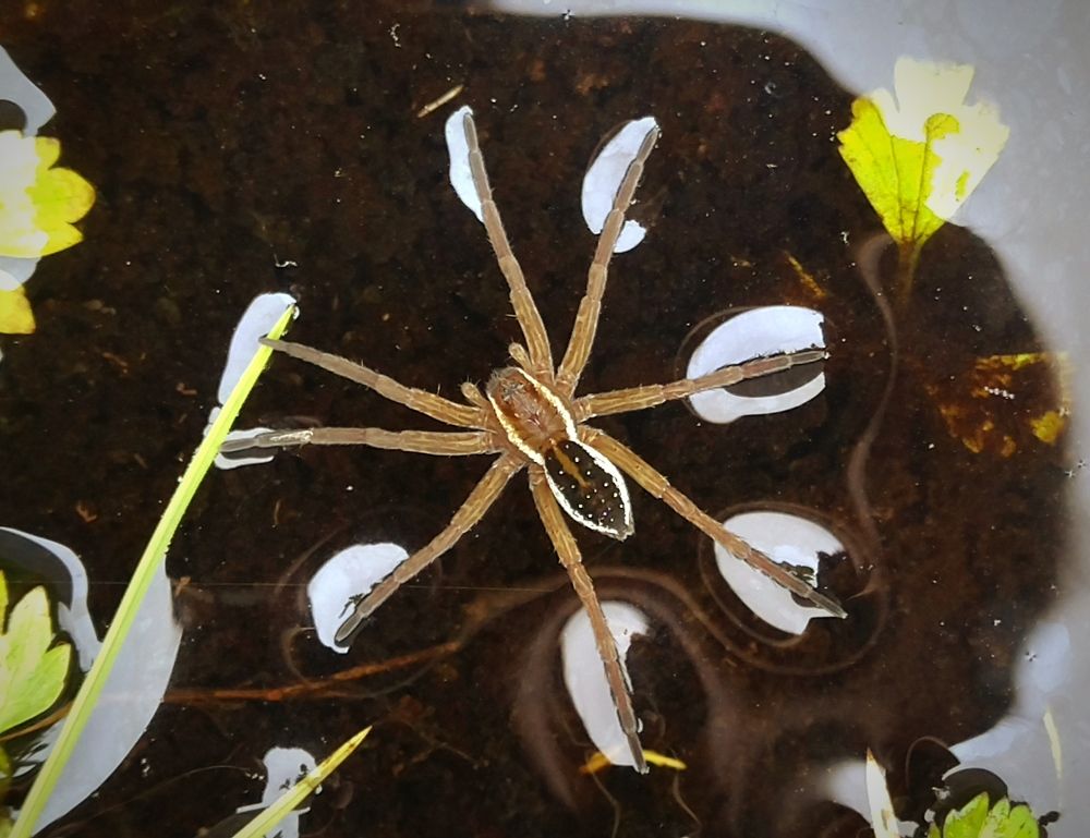 Photograph by Ольга Заповедная