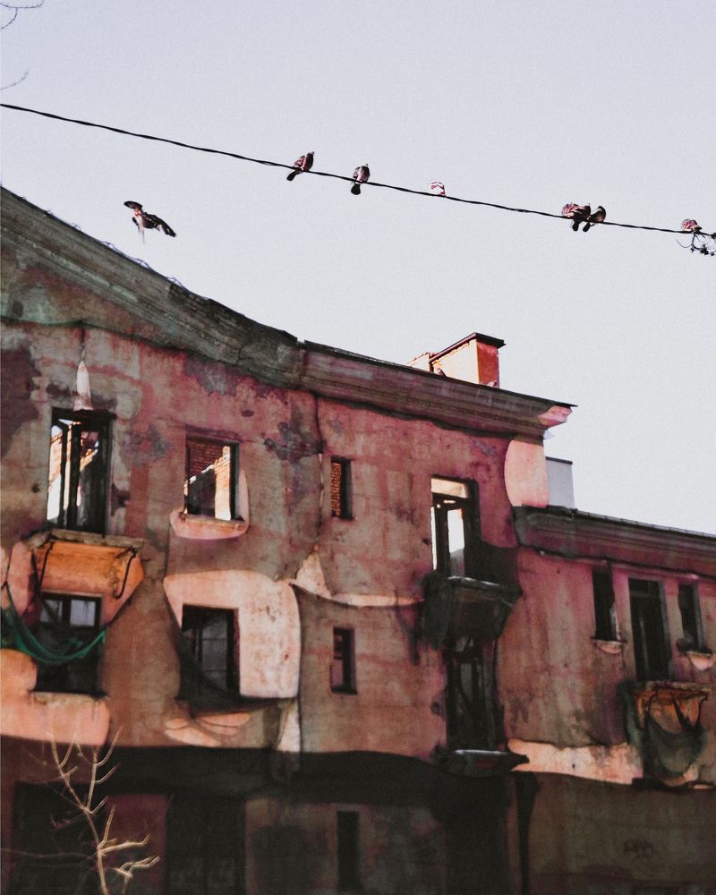 Photograph by Дарья Макаревич