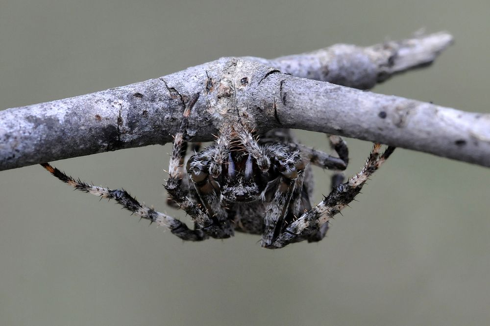 Photograph by Наталия Шинкевич