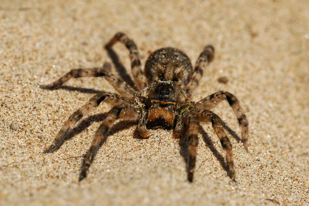 Photograph by Наталия Шинкевич