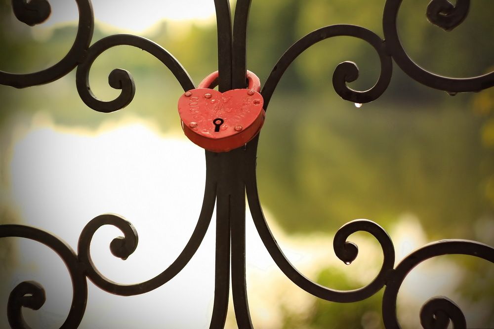 Фотография автора Панюшкин Владислав Владимирович