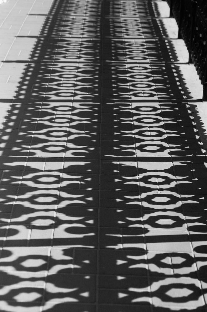 Photograph by Юлия Воскобойникова