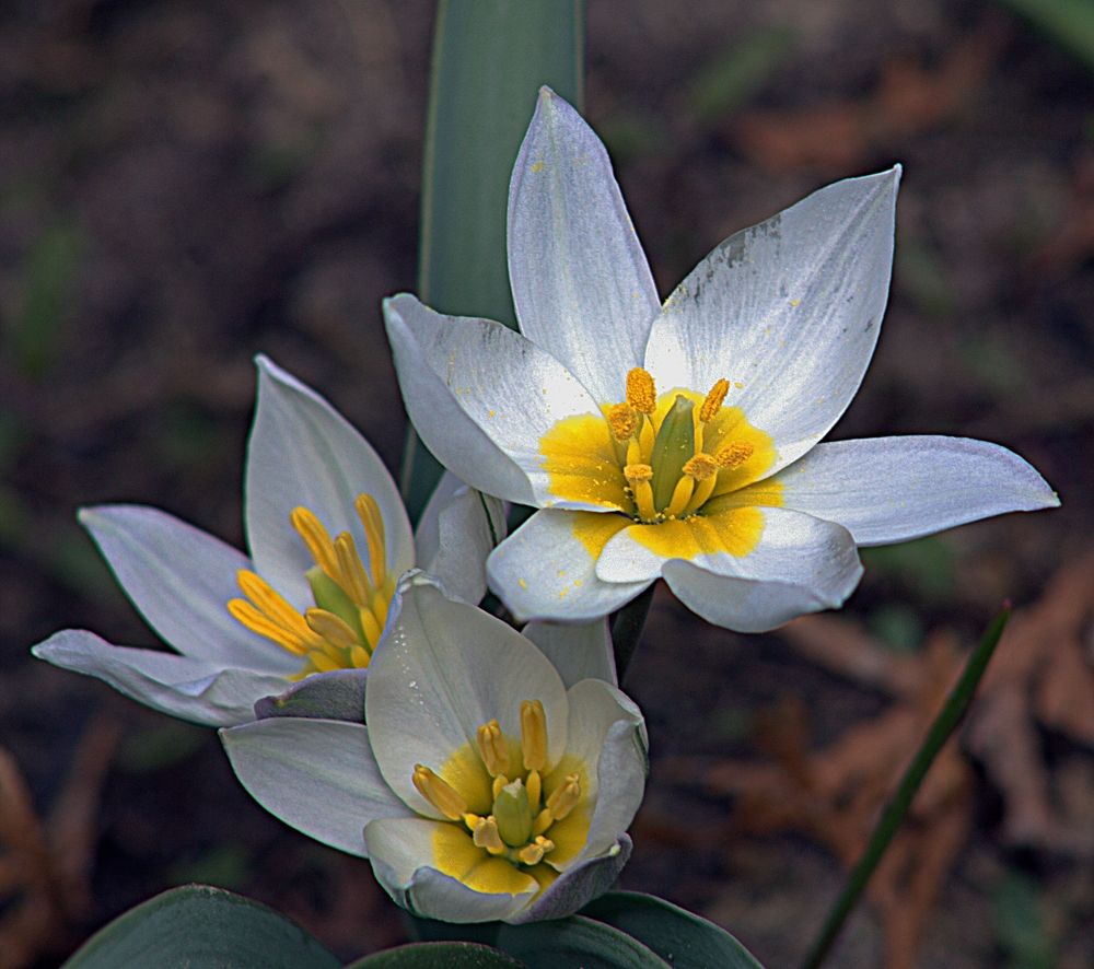 Photograph by Александр Макаренко