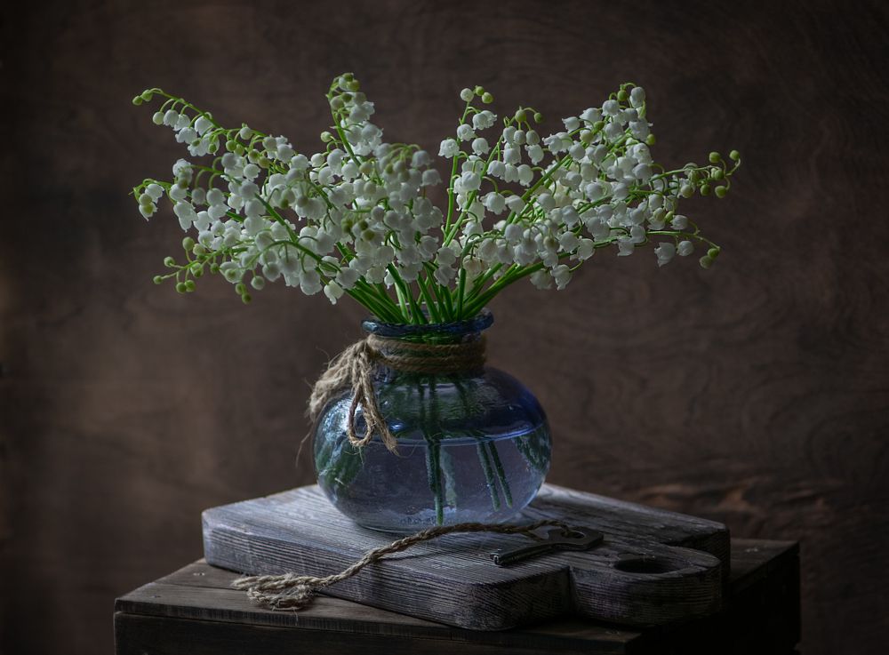 Photograph by Денис Ветренко