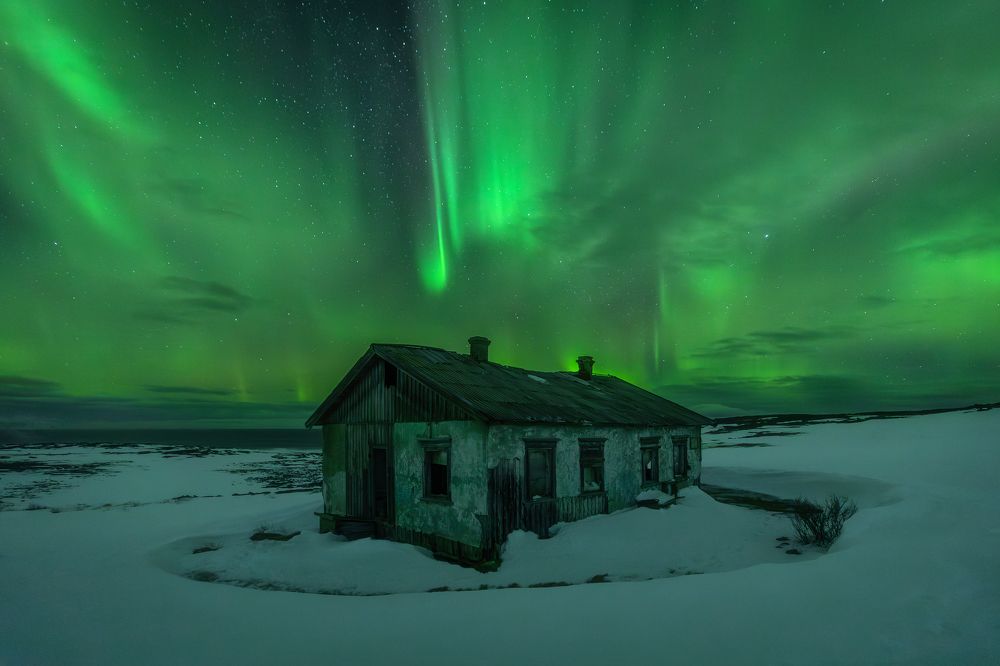 Photograph by Alexander Pashenichev