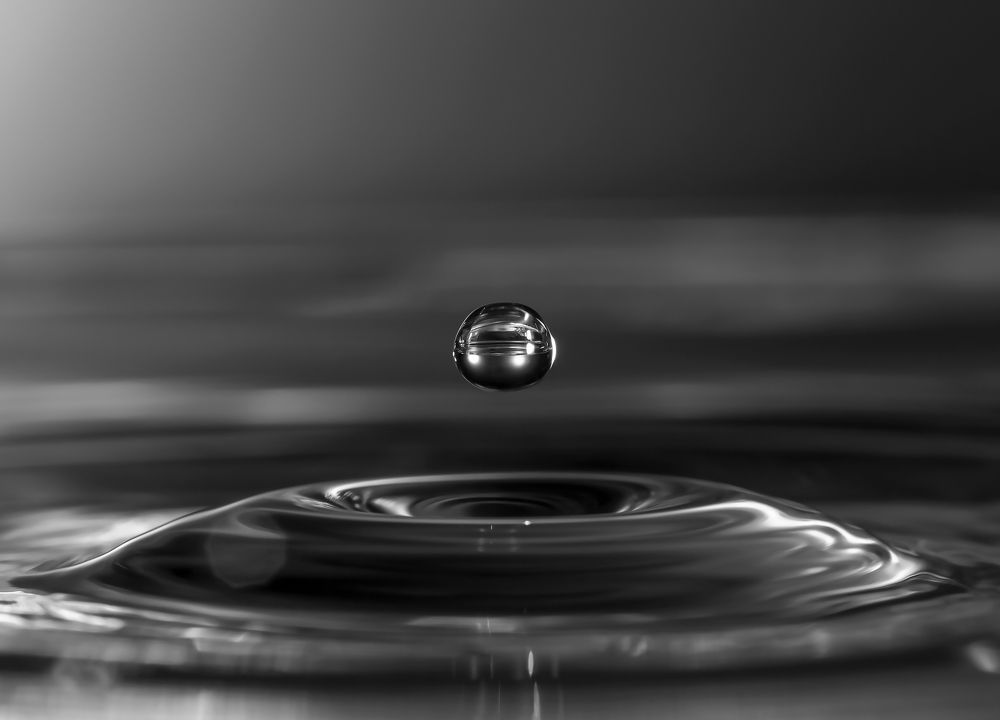 Photograph by Medeiros Everton