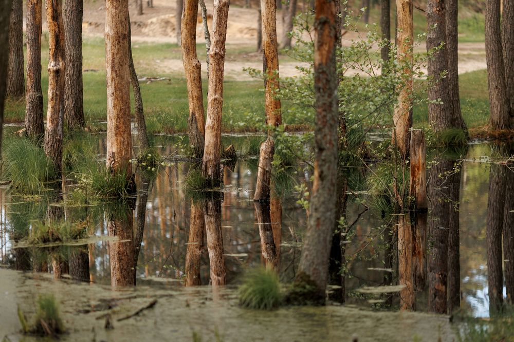 Photograph by Юлия