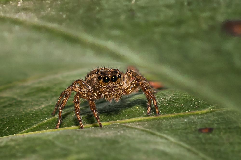 Photograph by Lê Trung Phùng