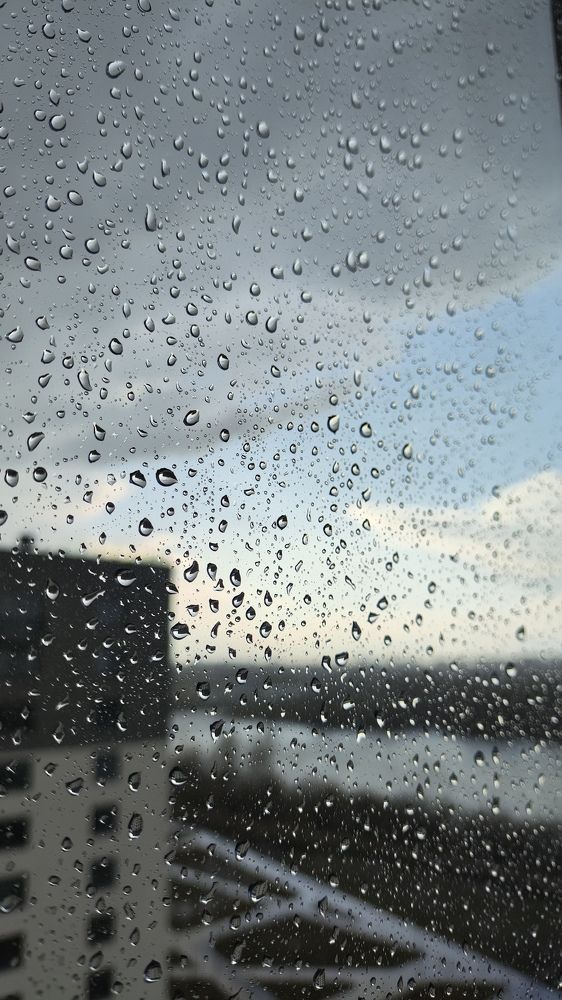 Фотография автора Николай Димитров