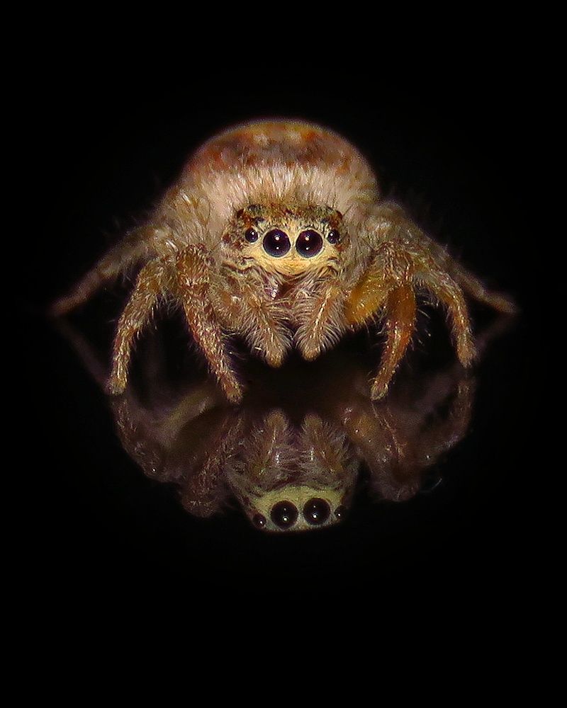 Photograph by Amin Ghaffarian