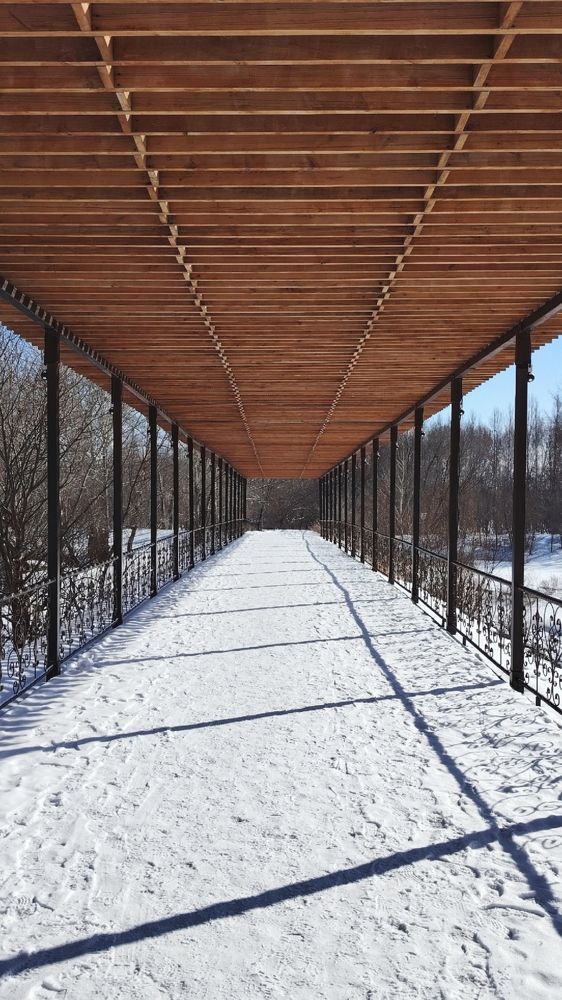 Фотография автора Анна Морозова