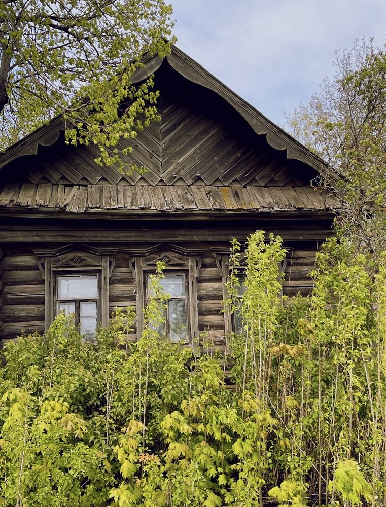 Фотография автора Рамзия Хисамутдинова