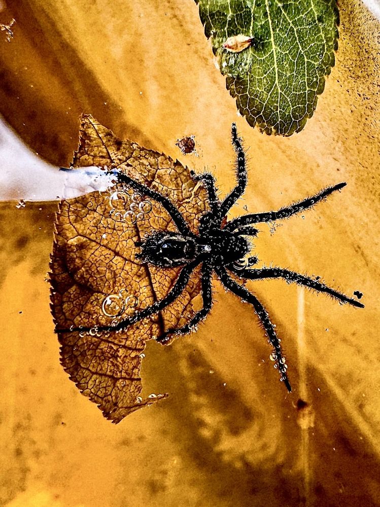 Photograph by Татьяна Зенина