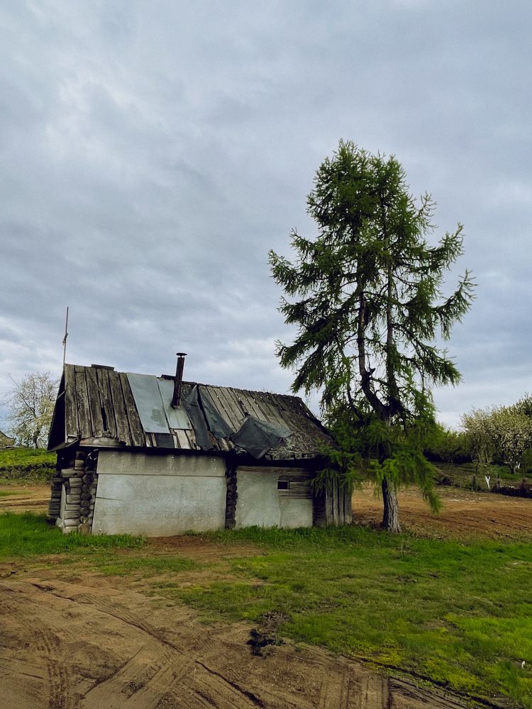 Фотография автора Рамзия Хисамутдинова